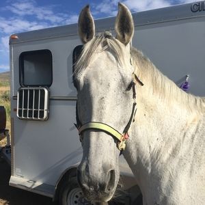 Meet your Posher, Veronique